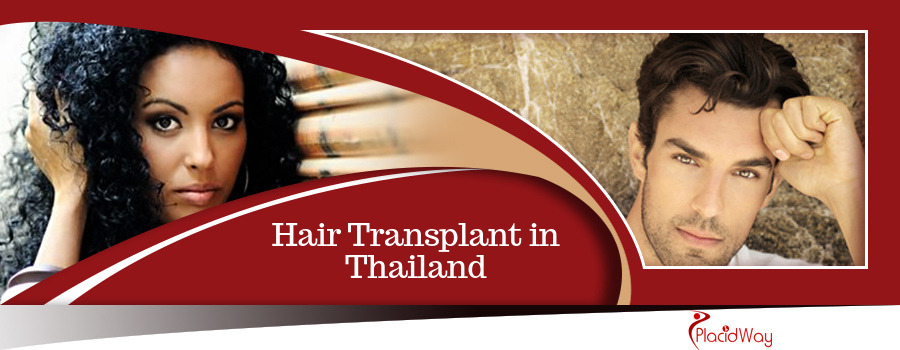 Hair Transplant in Thailand